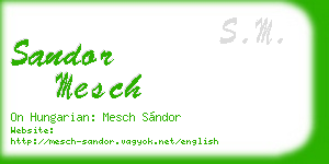 sandor mesch business card